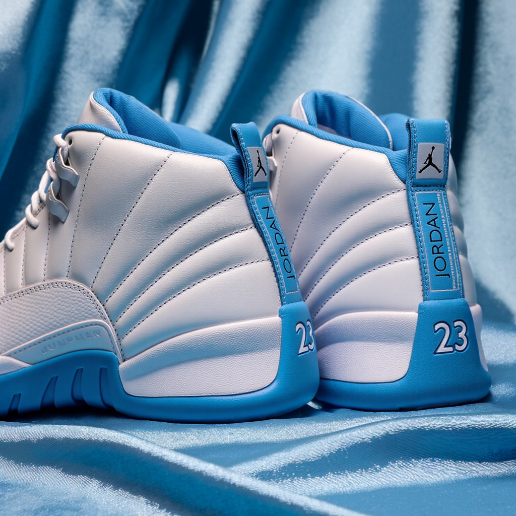 AIR Jordan | retro 12
